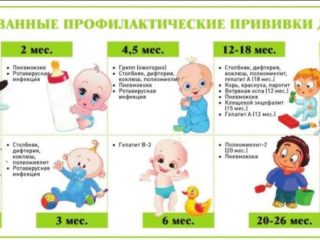 WhatsApp Image 2023-02-20 at 12.48.10 (1)