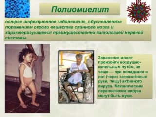 WhatsApp Image 2023-02-20 at 12.48.10