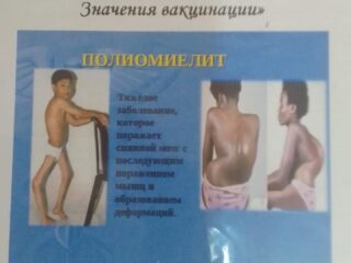 2zvbjdWgY92R73FRKnXO7gC7WM8r_kHkr3gvtl_ftOVhJub8kr1Ncc8br2n4z2dhpZwXuPpHBr0qXzB07RJpKyBn
